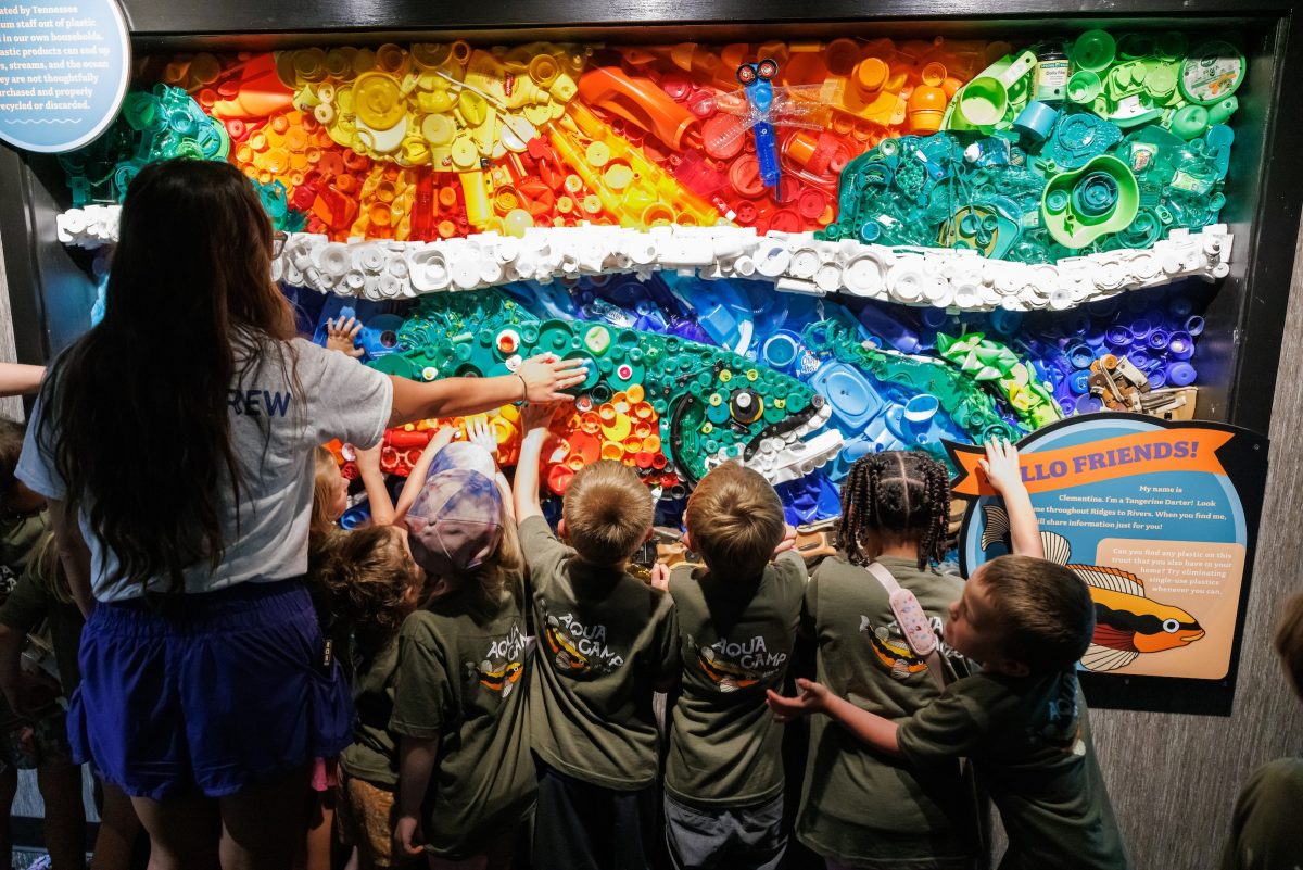 Aqua Camp students feeling the plastic trout art in Ridges to Rivers exhibit