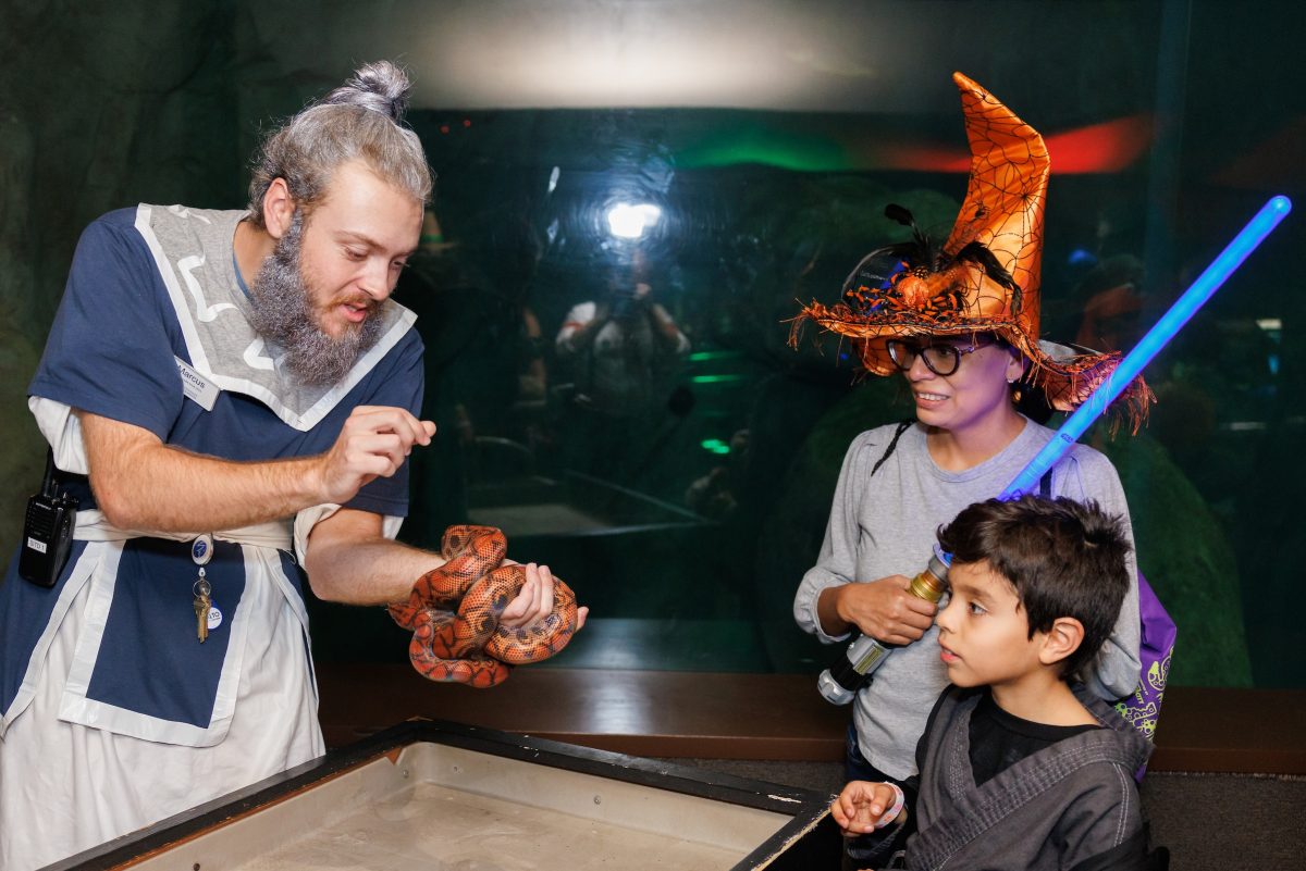 Aquarium educator displaying a snake for guests at Aquascarium event