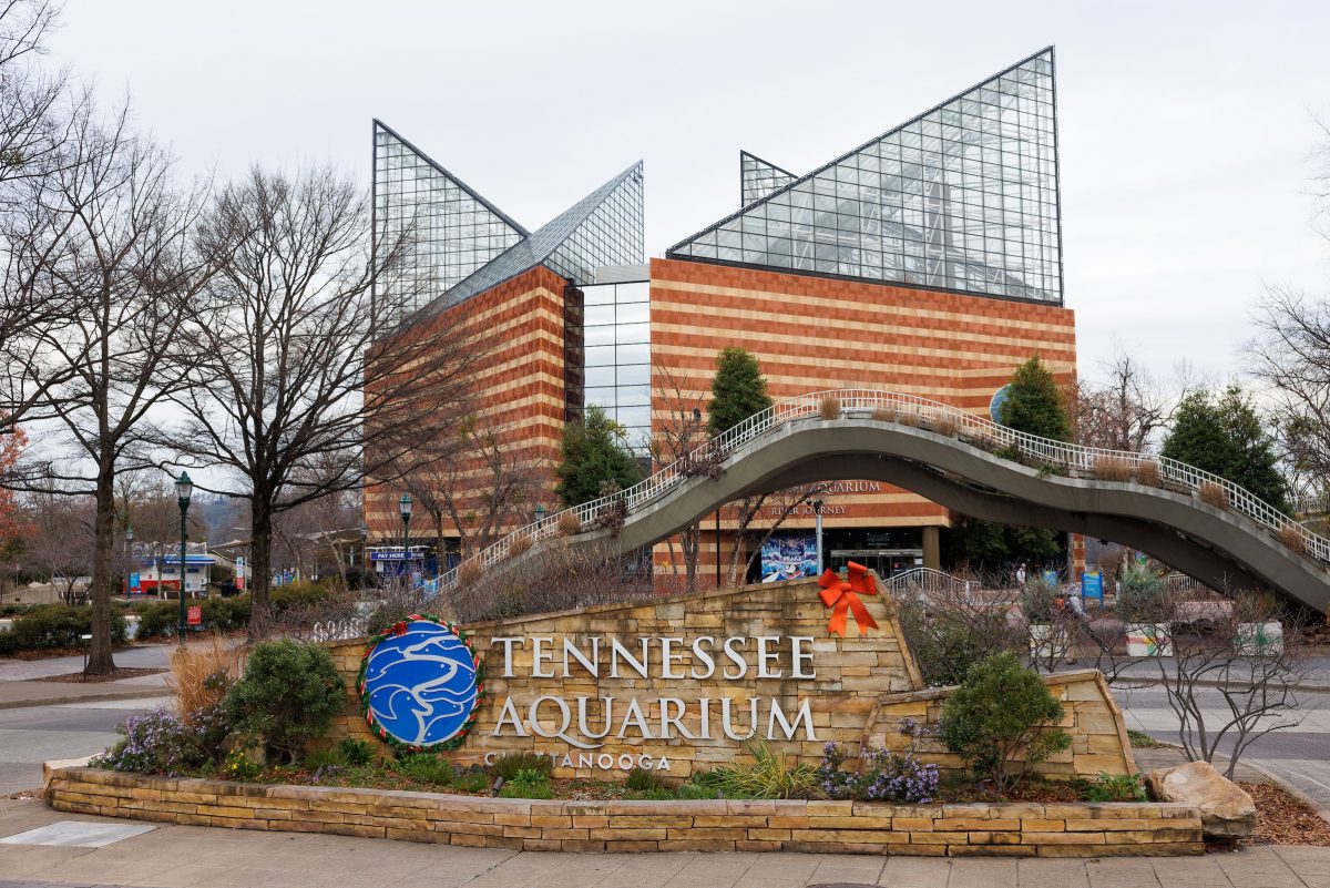 The Tennessee Aquarium is decorated for the holidays.