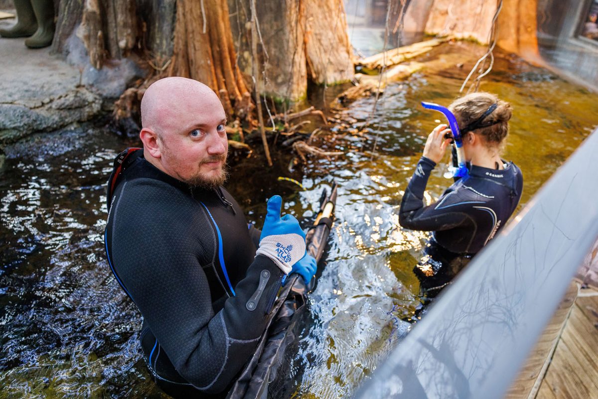 Stephen Beaman wades in the Delta Country exhibit