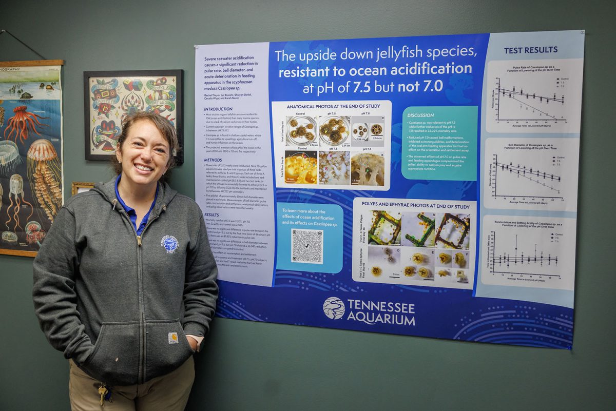 Rachel Thayer with scientific poster