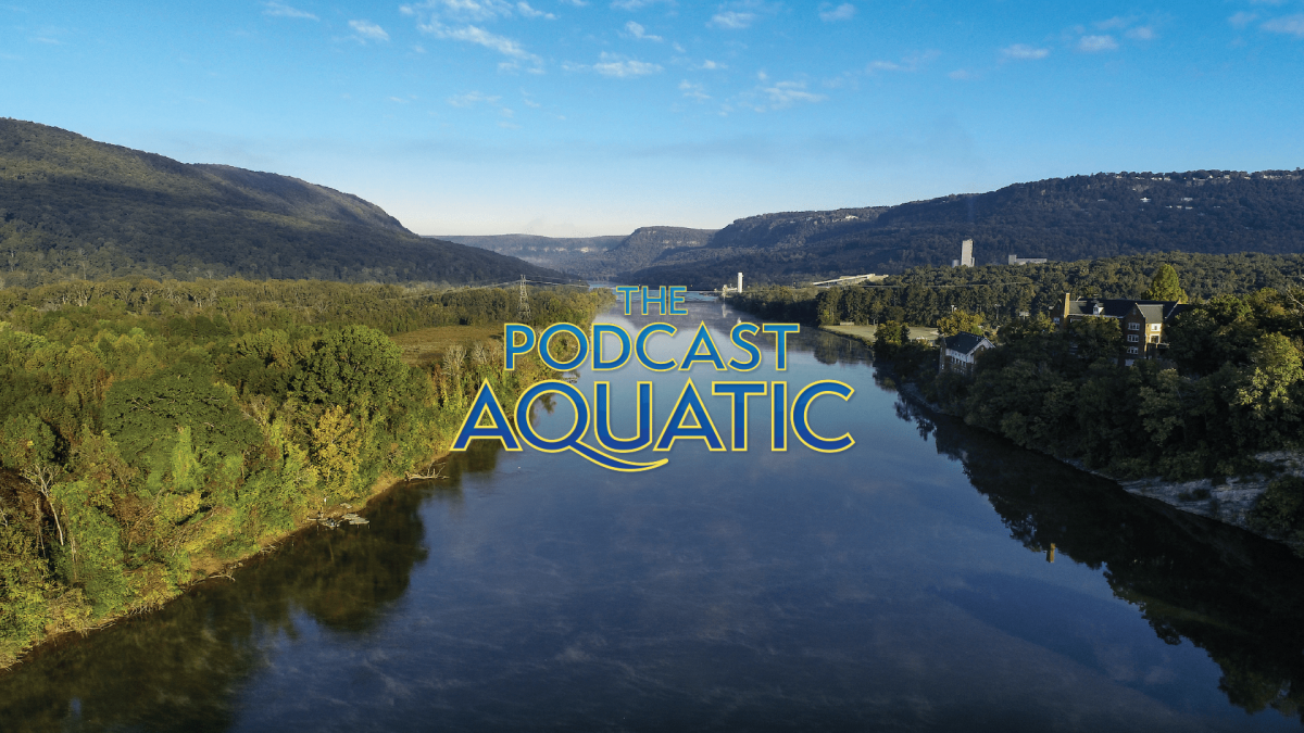 Image of an aerial view of the Tennessee River with 