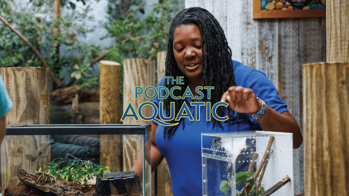 Image of Aquarium education staff member Tanisha with 