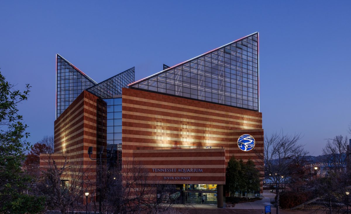 New LED lights colored red and white for the Holidays Under the Peaks celebration illuminate the peaks of the Tennessee Aquarium's River Journey building.