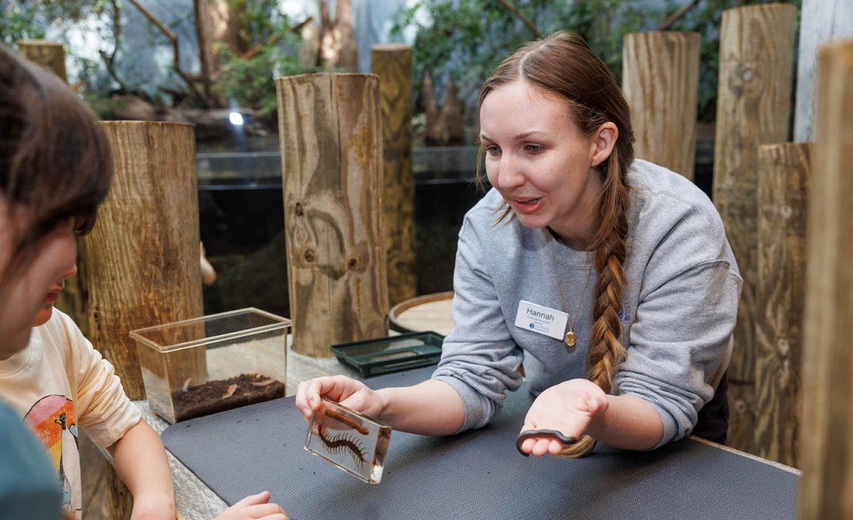 Tennessee Aquarium Guest Engagement Educator Hannah Shepperd introduces guests to an American Giant Millipede ambassador animal.