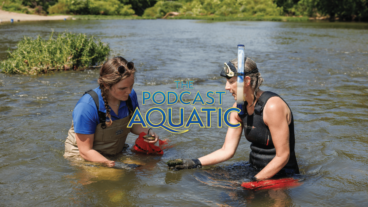 Senior Aquarist Avery Millard (left) and Conservation Manager Stephanie Chance (right) observing freshwater mussels in the Duck River in Middle Tennessee.