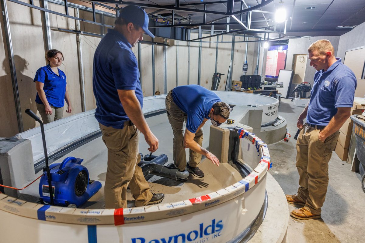 Three people examine a newly poured exhibit to add pipes