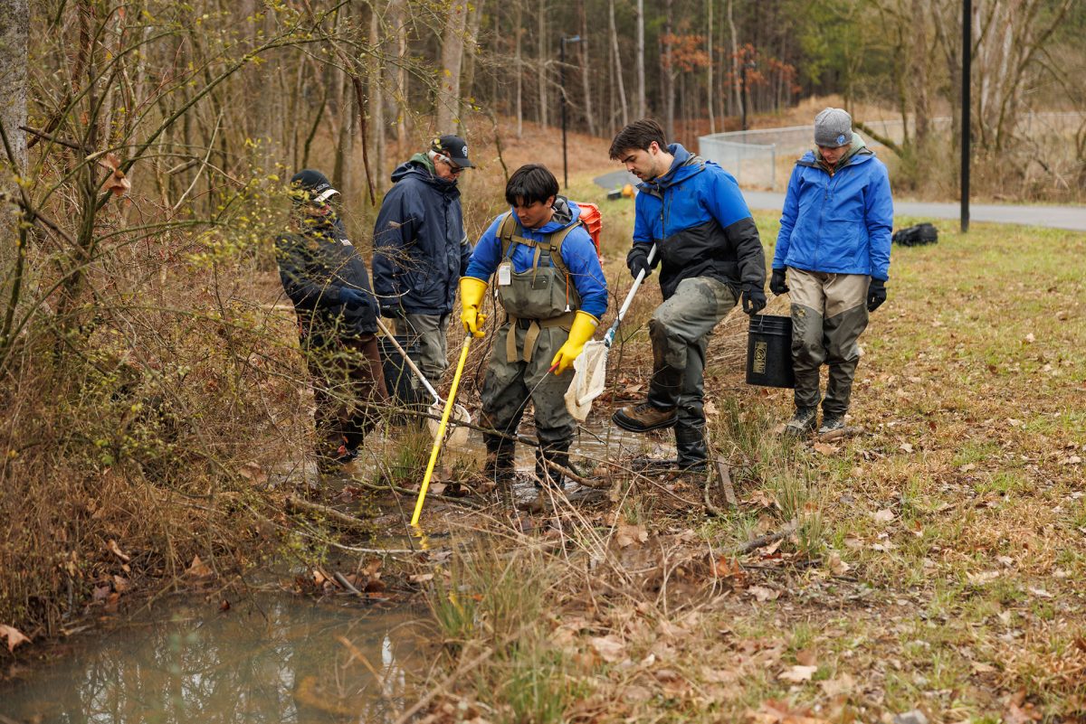 A team uses a backpack electrofisher in a small stream