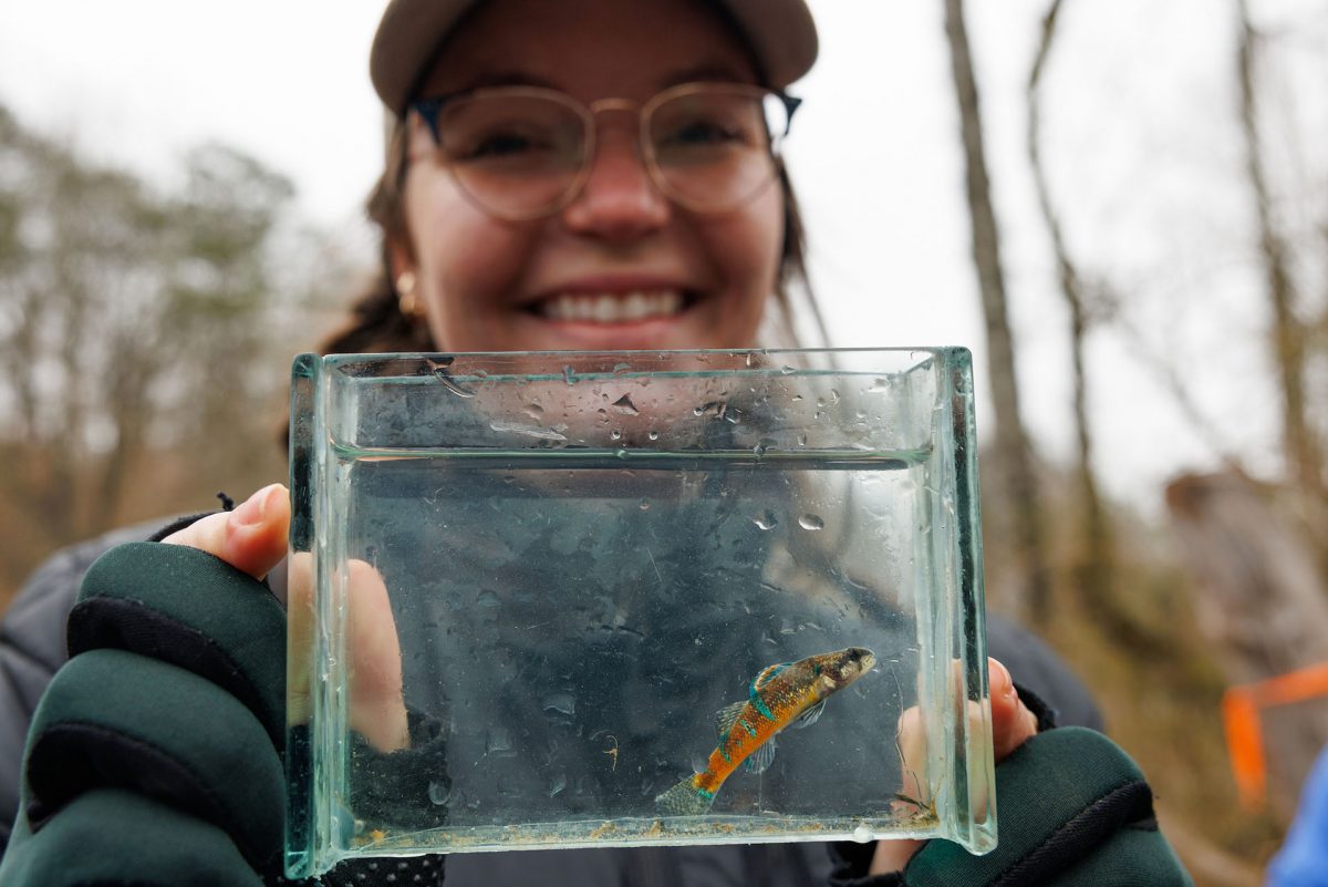 A biologist holds up a fish in a viewing aquarium