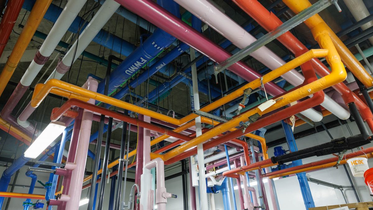 Multicolored pipes of various sizes run through a room at the Aquarium