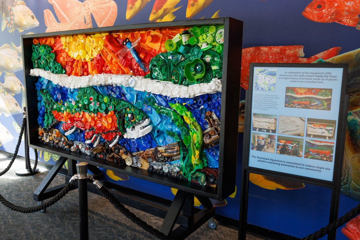 Washed Ashore project made by TN Aquarium staff
