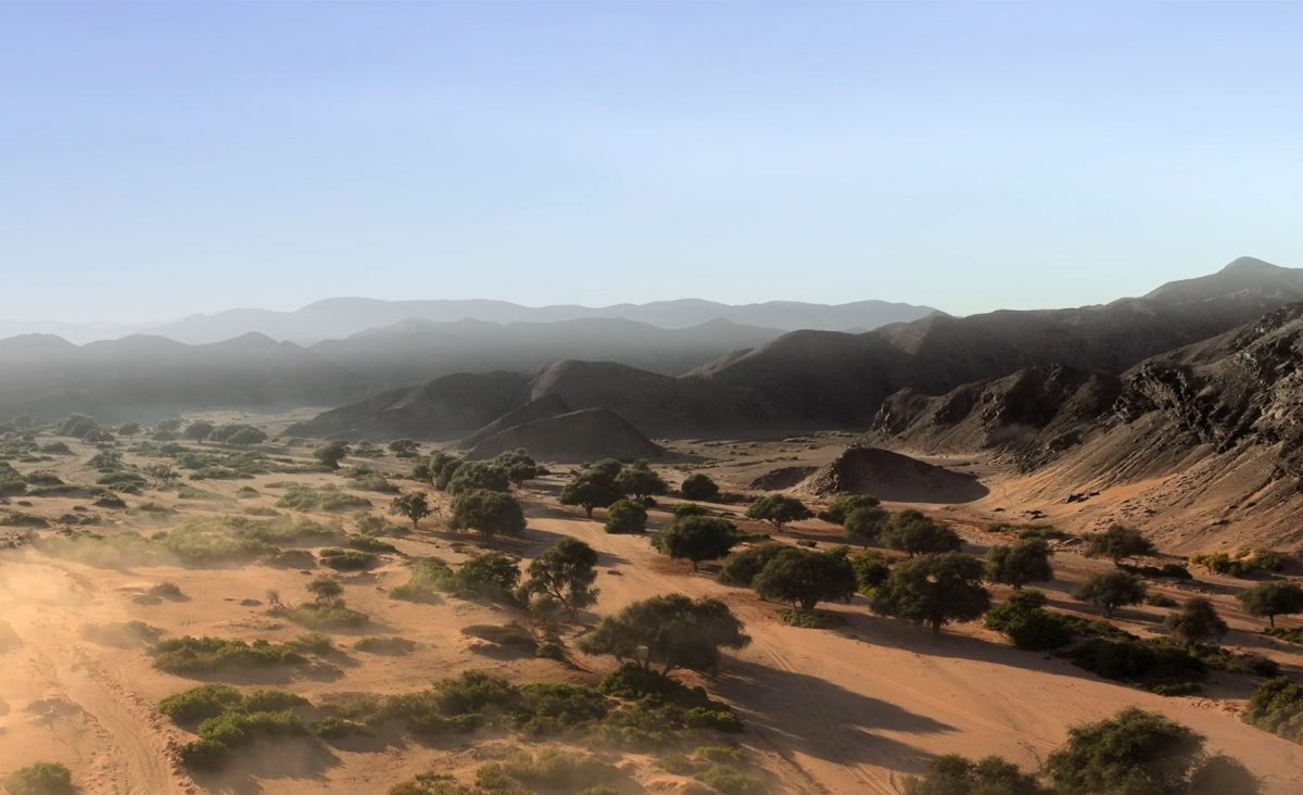 The Namib Desert, the setting of Elephants: Giants of the Desert 3D, is one of the oldest and driest deserts on Earth, with maximum annual rainfall of less than 3.5 inches.