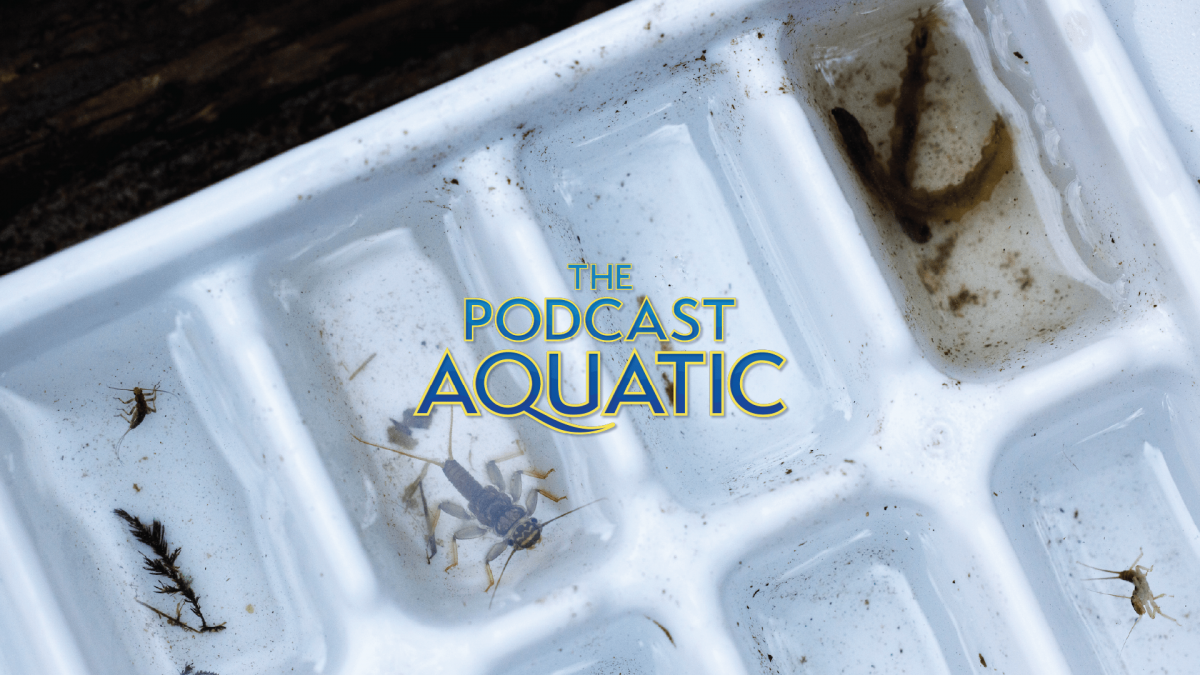 Header image for the Podcast Aquatic episode on aquatic macro-invertibrates