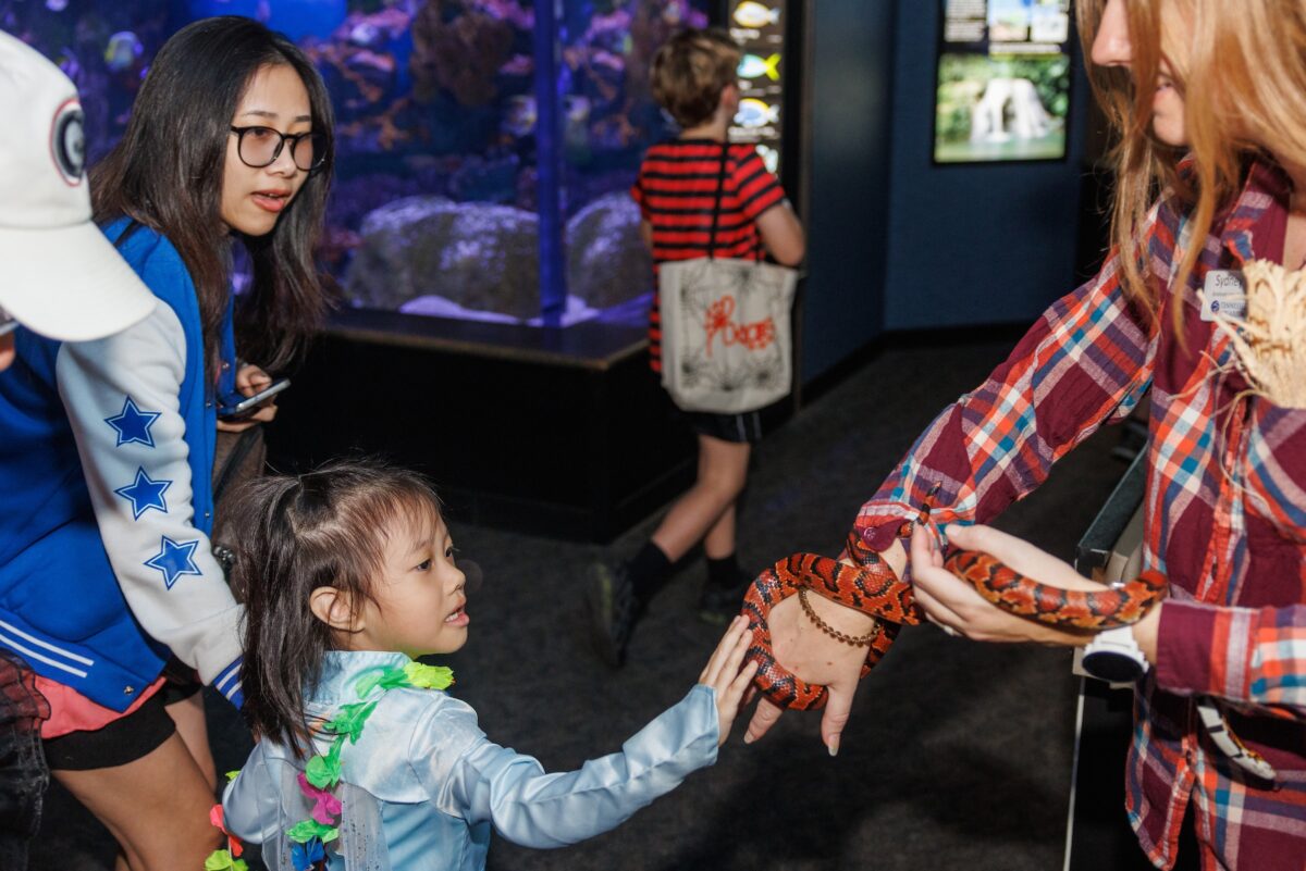 The Tennessee Aquarium's Aquascarium event on Friday, Oct. 29, 2024, in Chattanooga, Tenn.