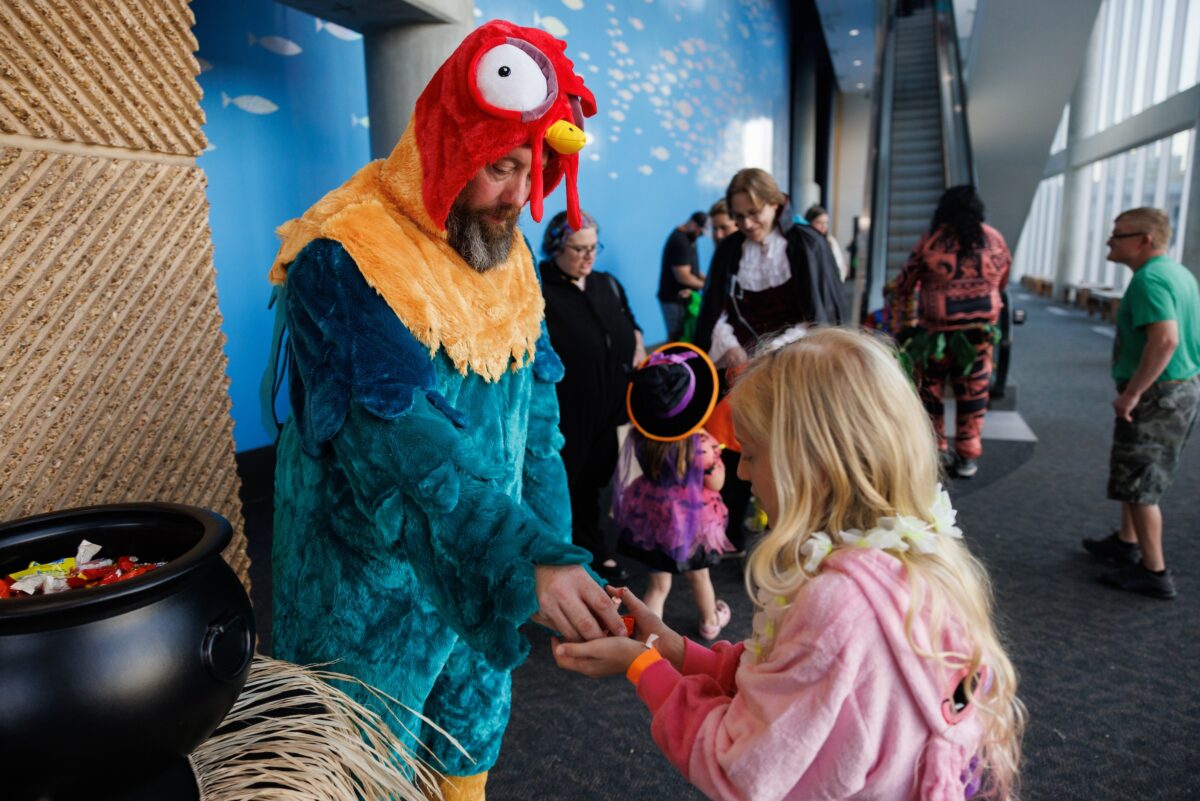 The Tennessee Aquarium's Aquascarium event on Friday, Oct. 29, 2024, in Chattanooga, Tenn.