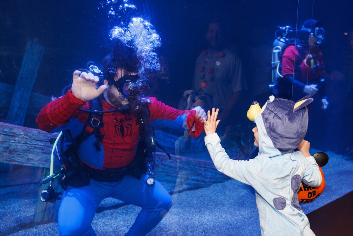 The Tennessee Aquarium's Aquascarium event on Friday, Oct. 29, 2024, in Chattanooga, Tenn.