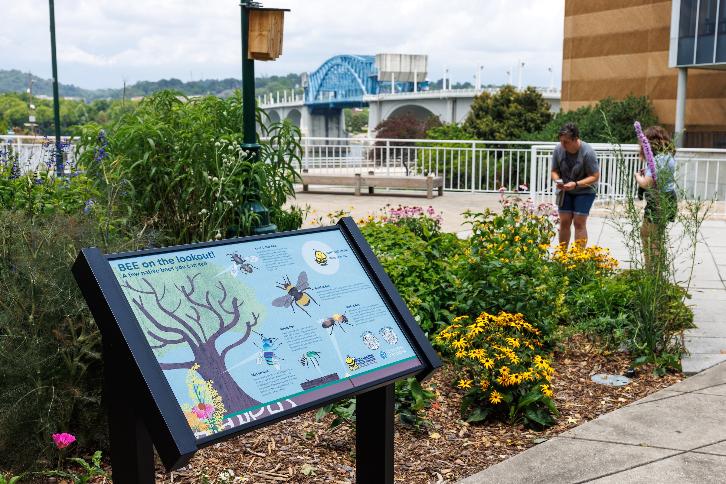 Tennessee Aquarium's plaza pollinator signage with flowers and a bridge in the background