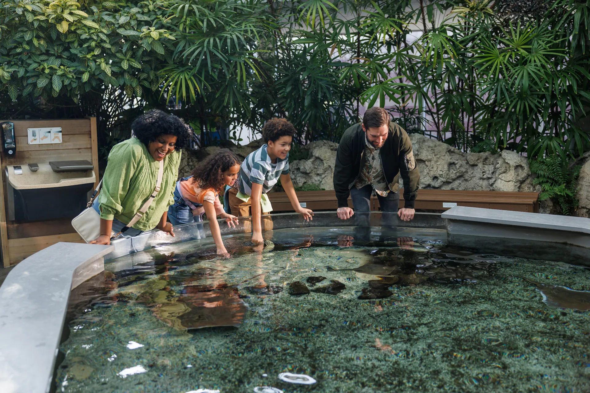 A family enjoying the touch tank in the Tropical Cove exhibit at the TN Aquarium