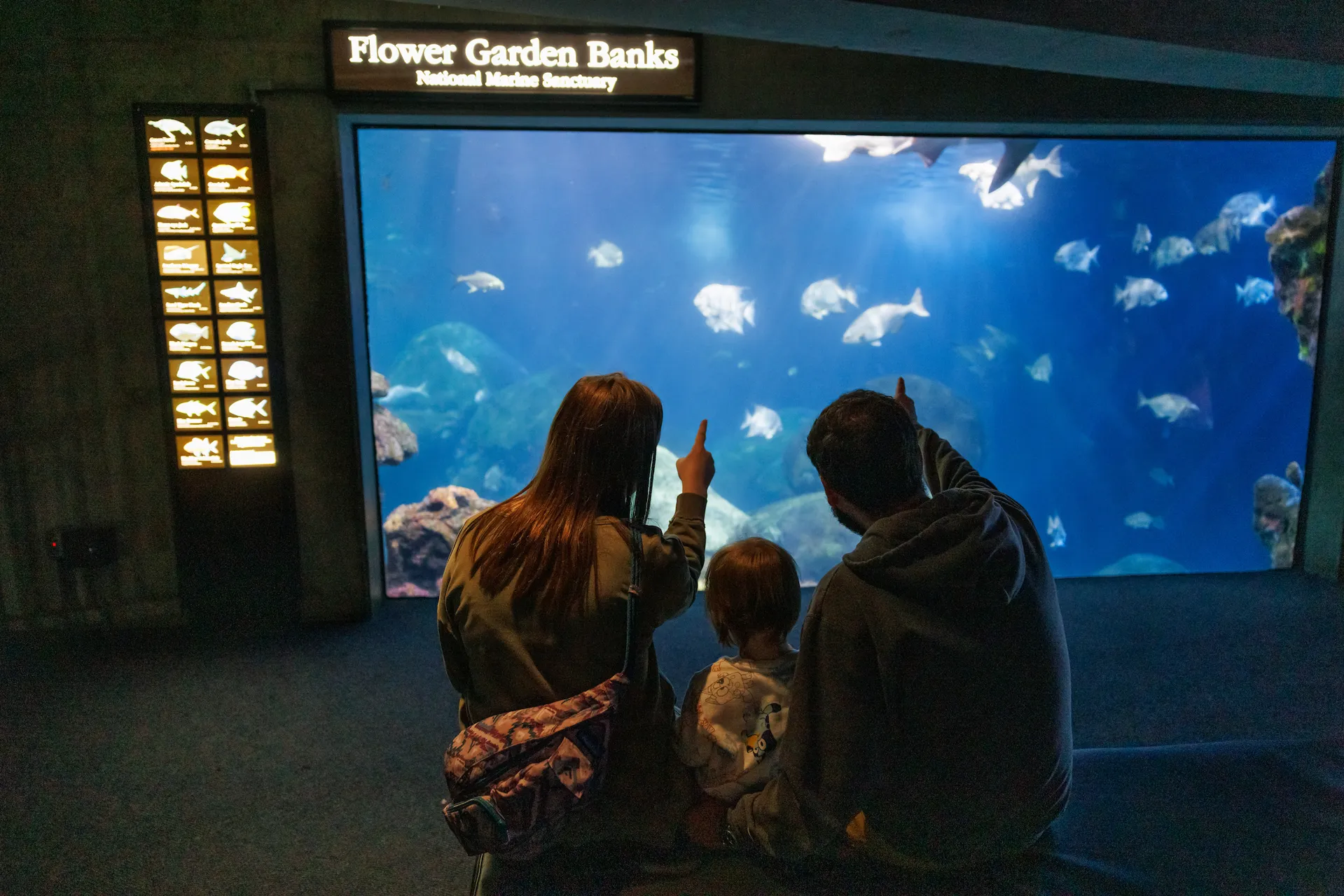 Guests at the top portion of the Secret Reef exhibit