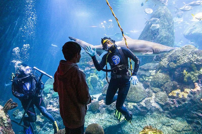 SCUBA interacting with guests