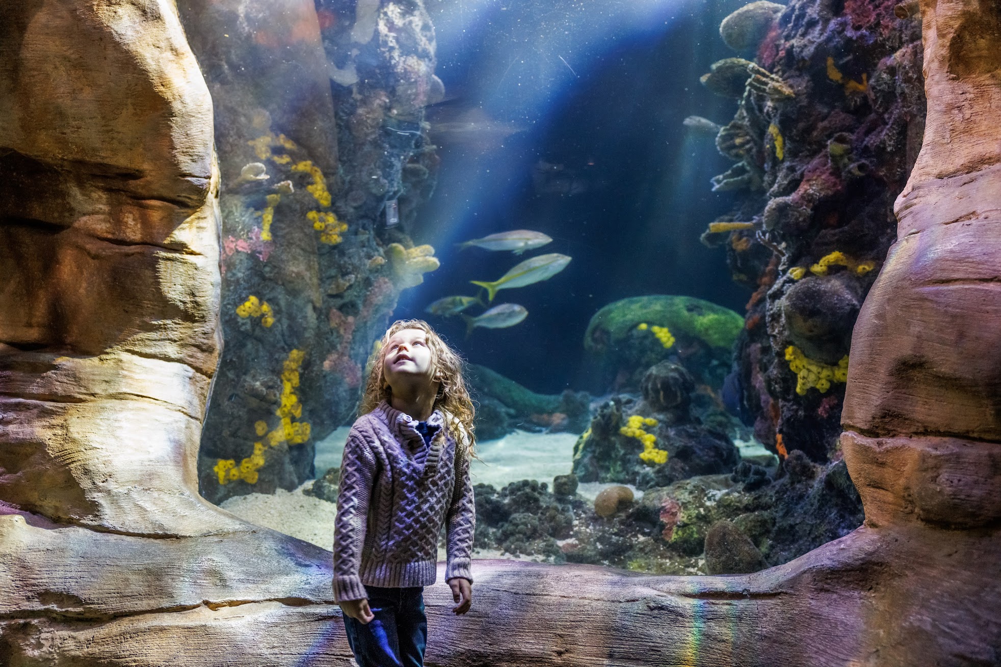 child in Undersea Cavern