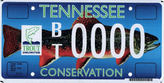 Specialty vanity license plate for Brook Trout conservation