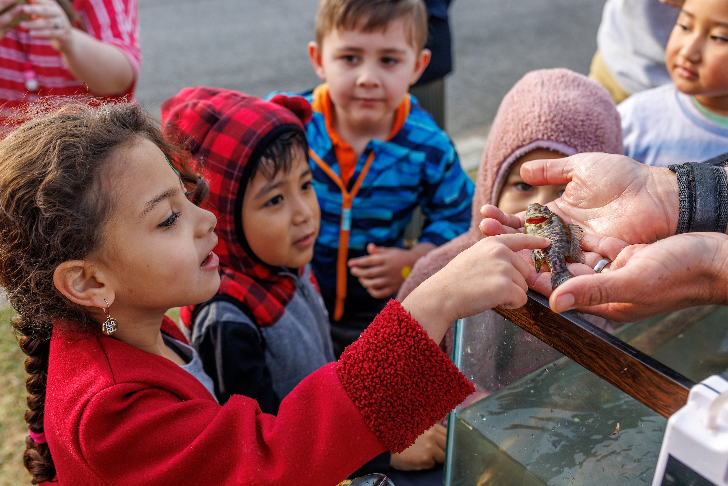 Students touch a sunfish