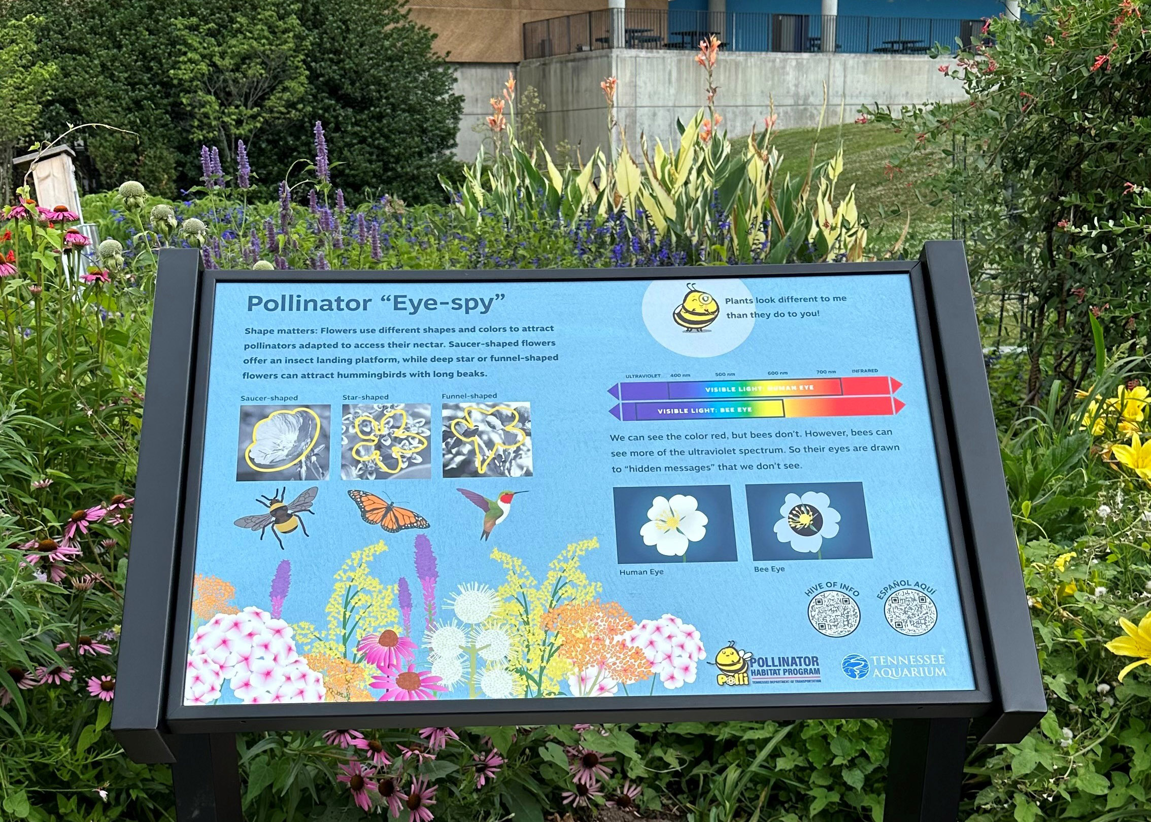 A Pollinator Pathway sign on the plaza of the Tennessee Aquarium.