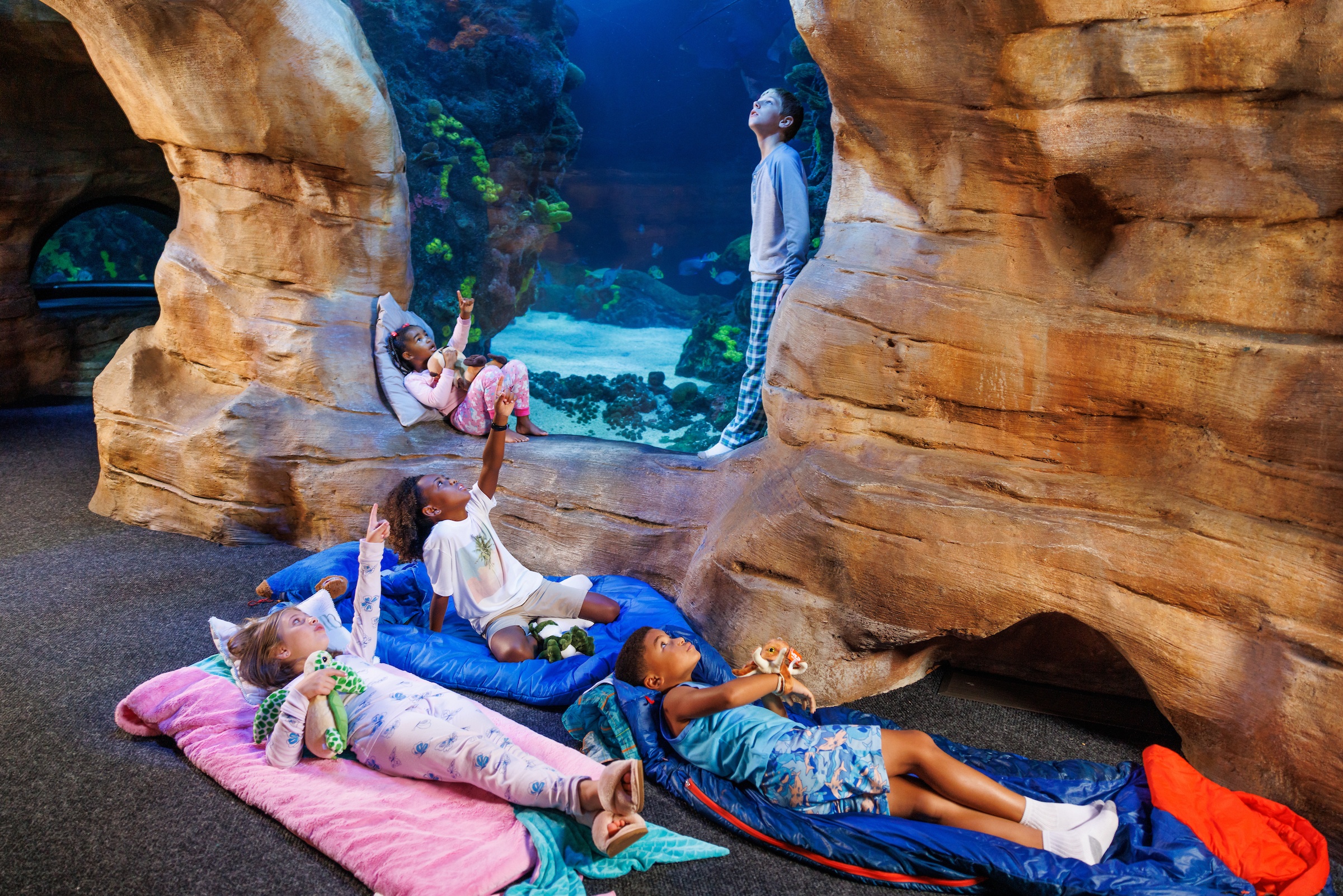 kids view tank from sleeping bags