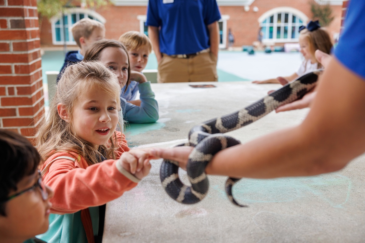 child touching snake during education program