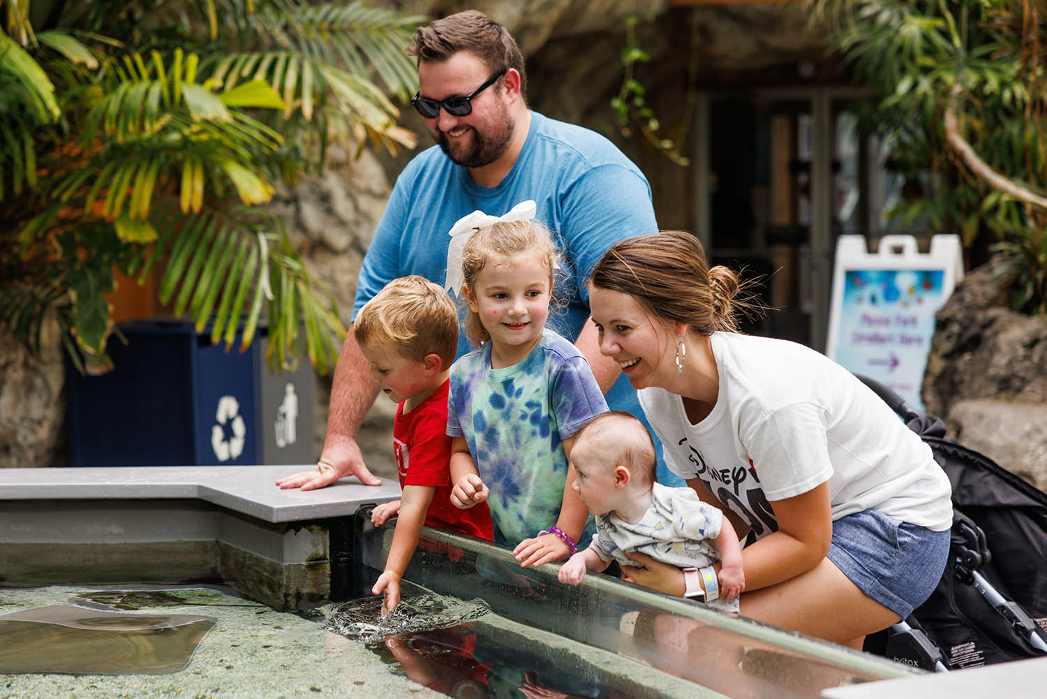 Guests visit the Tennessee Aquarium's Stingray Bay touch exhibit.