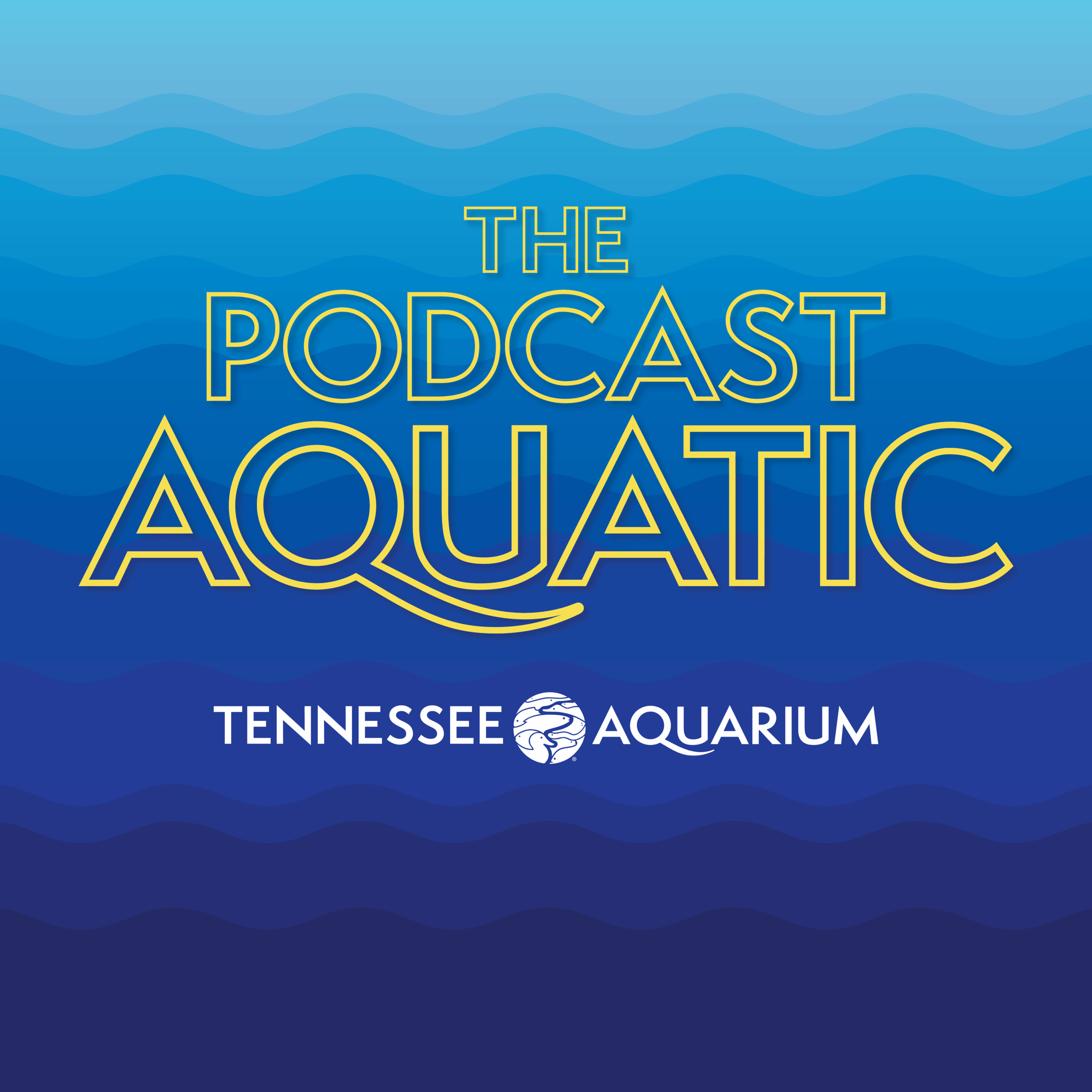 Podcast: "A First-class Freshwater Filmmaker (feat. Jeremy Monroe)"