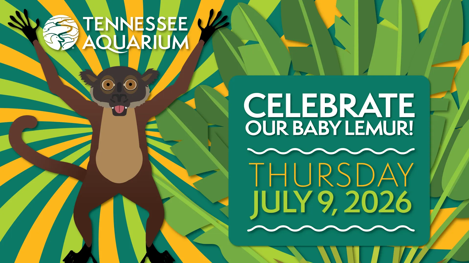 Lemur Baby Shower