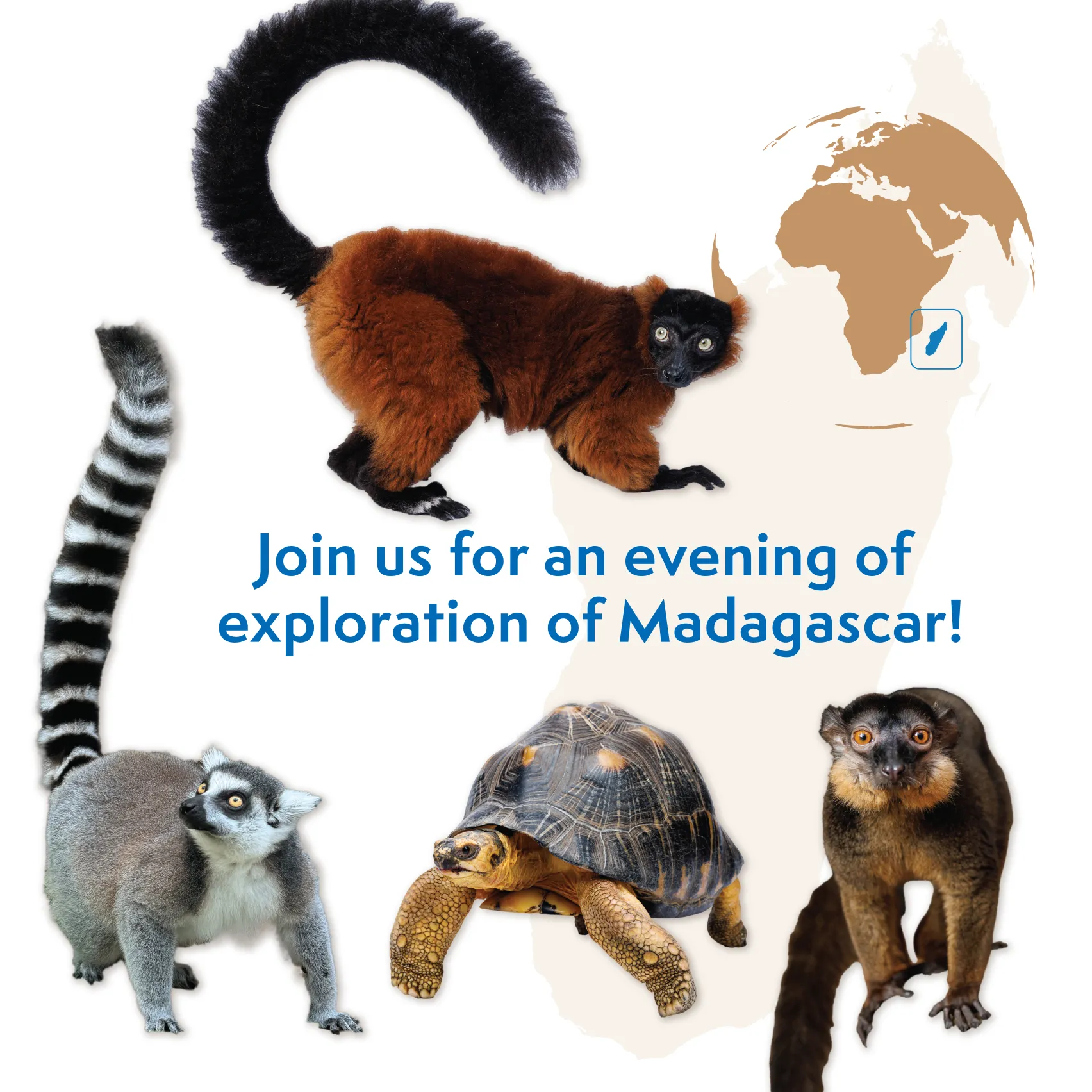 Madagascar Conservation Event
