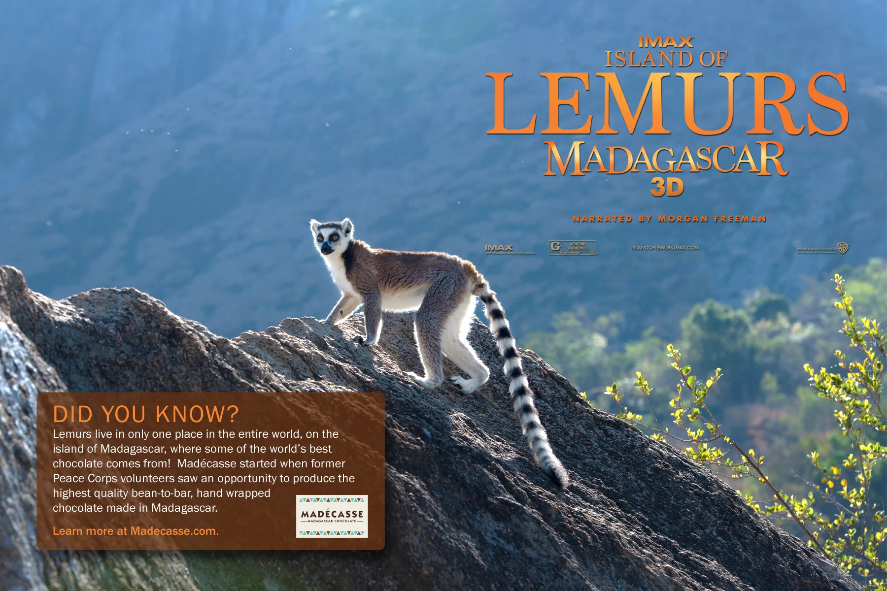 World Lemur Day