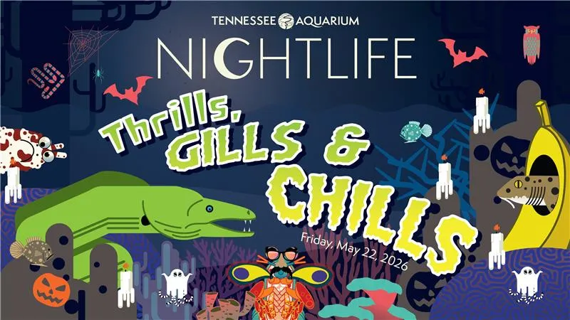 Nightlife: Thrills, Gills & Chills