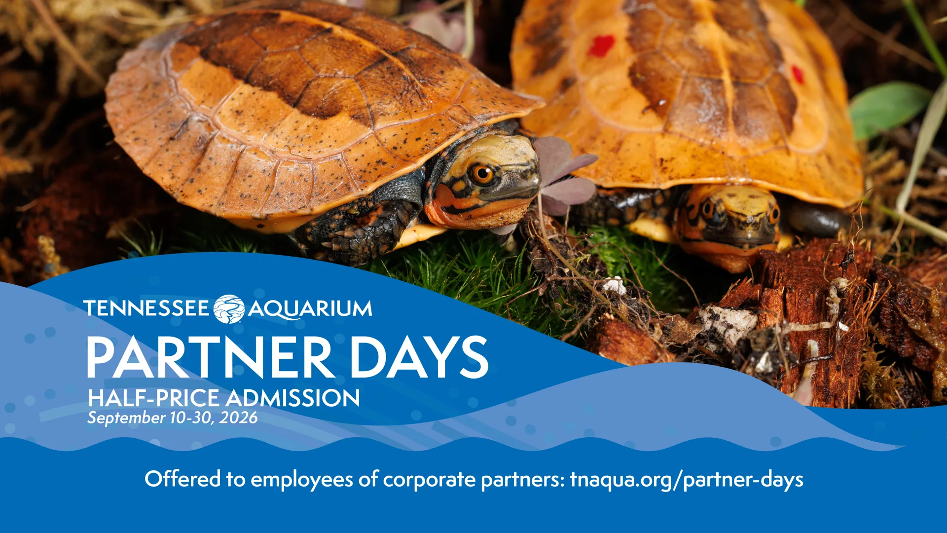 Partner Days