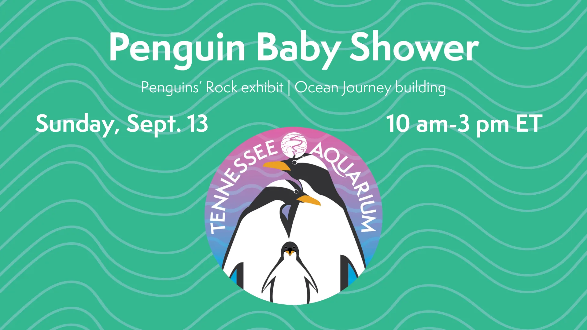 Penguin Baby Shower 🐧🐧