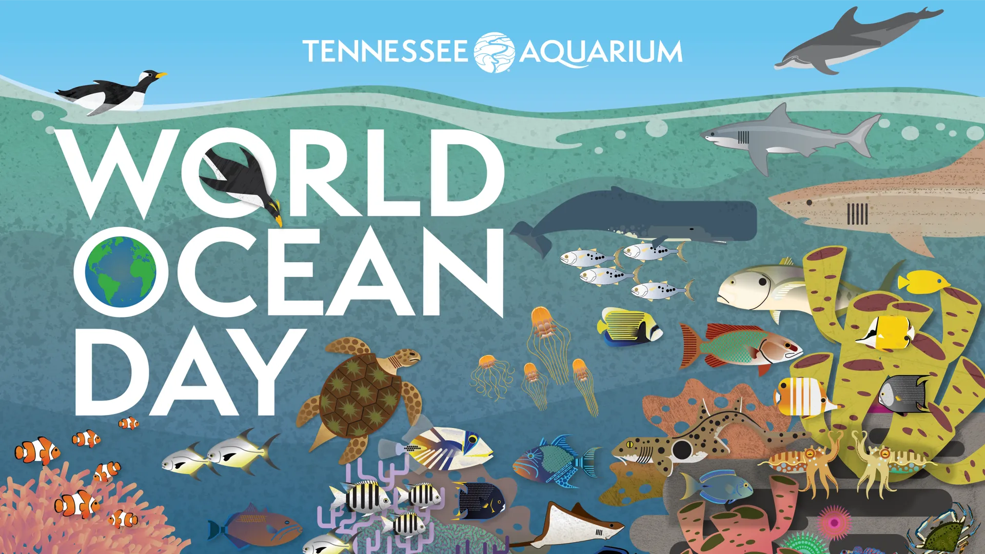 World Ocean Day at the Aquarium + IMAX 🌊