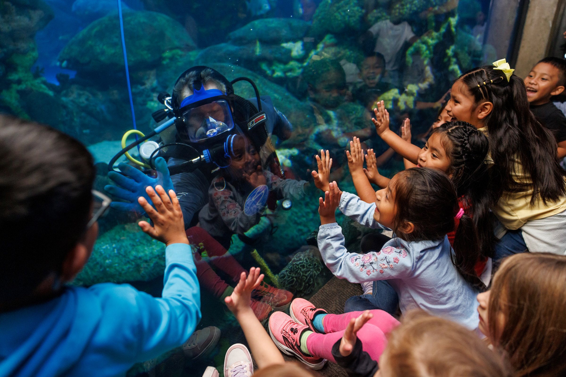 Children high-five a SCUBA Diver after a Diver Chat in the Tennessee Aquarium's Secret Reef exhibit.