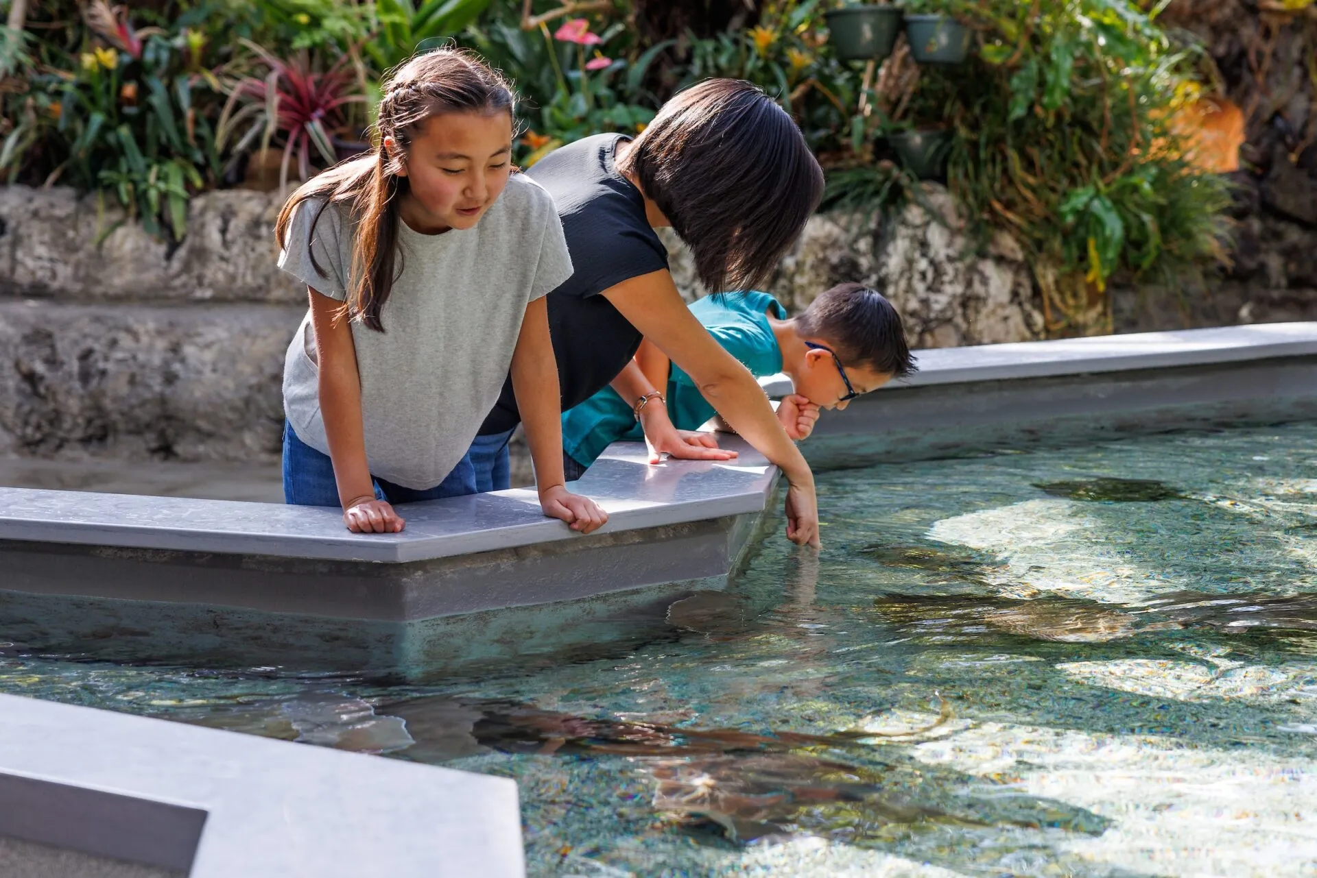 Children at touch tank