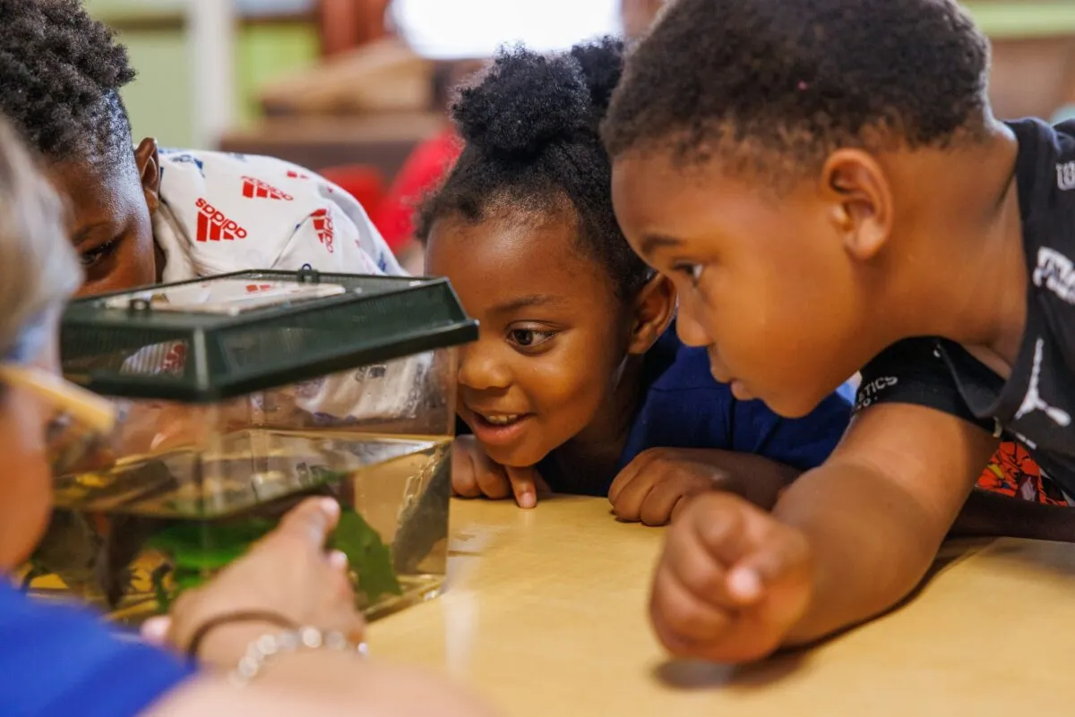 Kids looking at frog