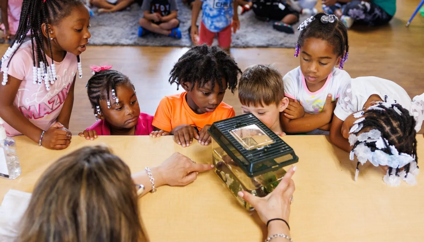 Kids looking at animal
