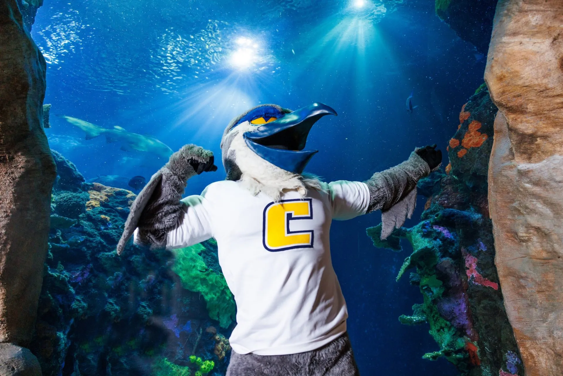 UTC College Mascot