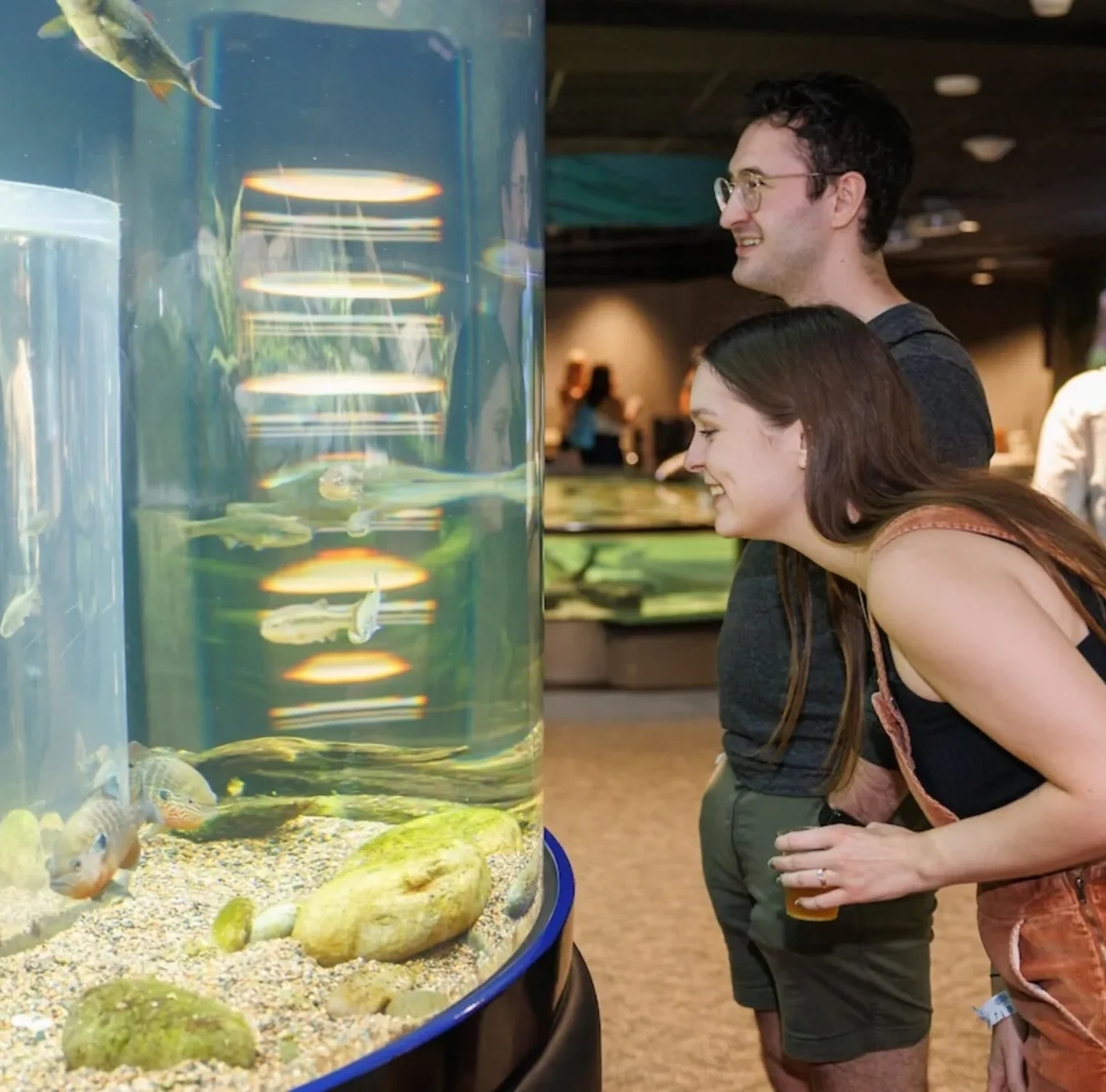 Guest looking at fish tank