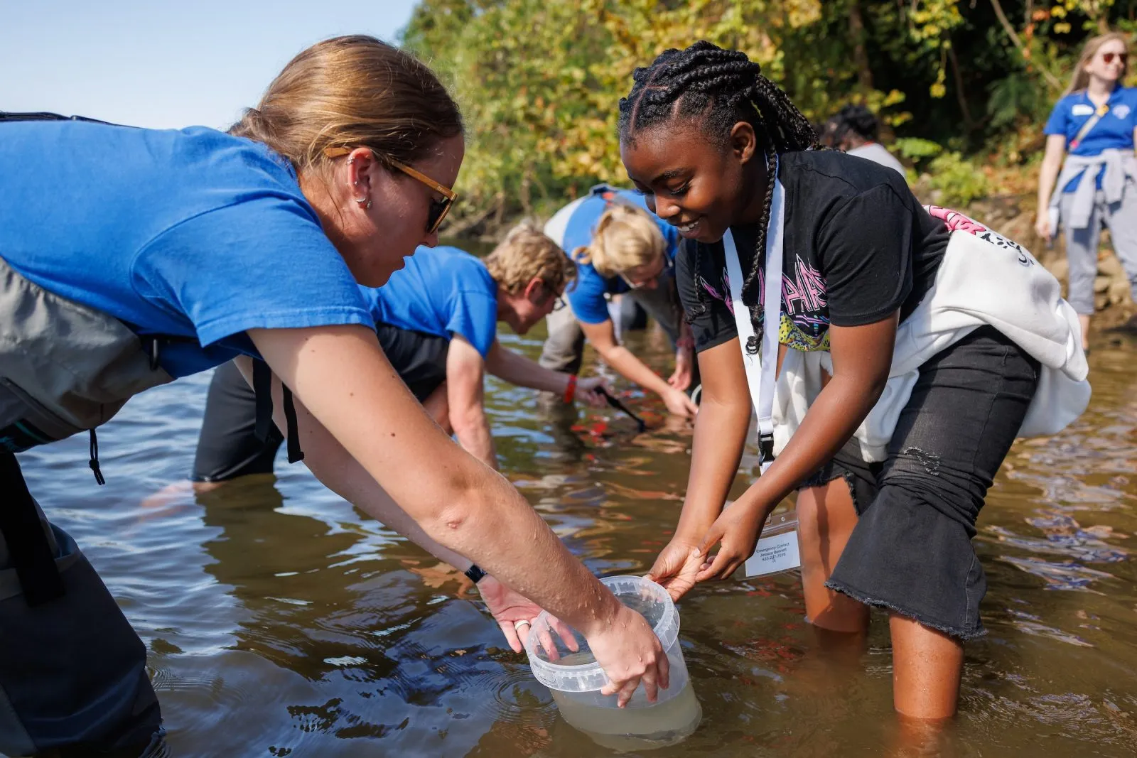 volunteers releasing sturgeon into river
