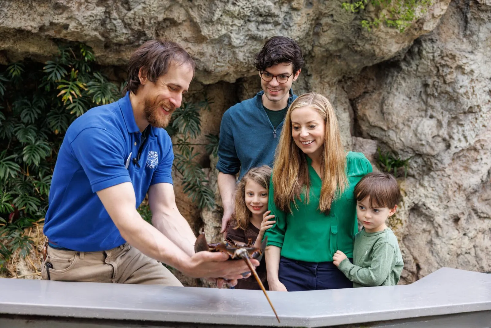 Guest touching horseshoe crab