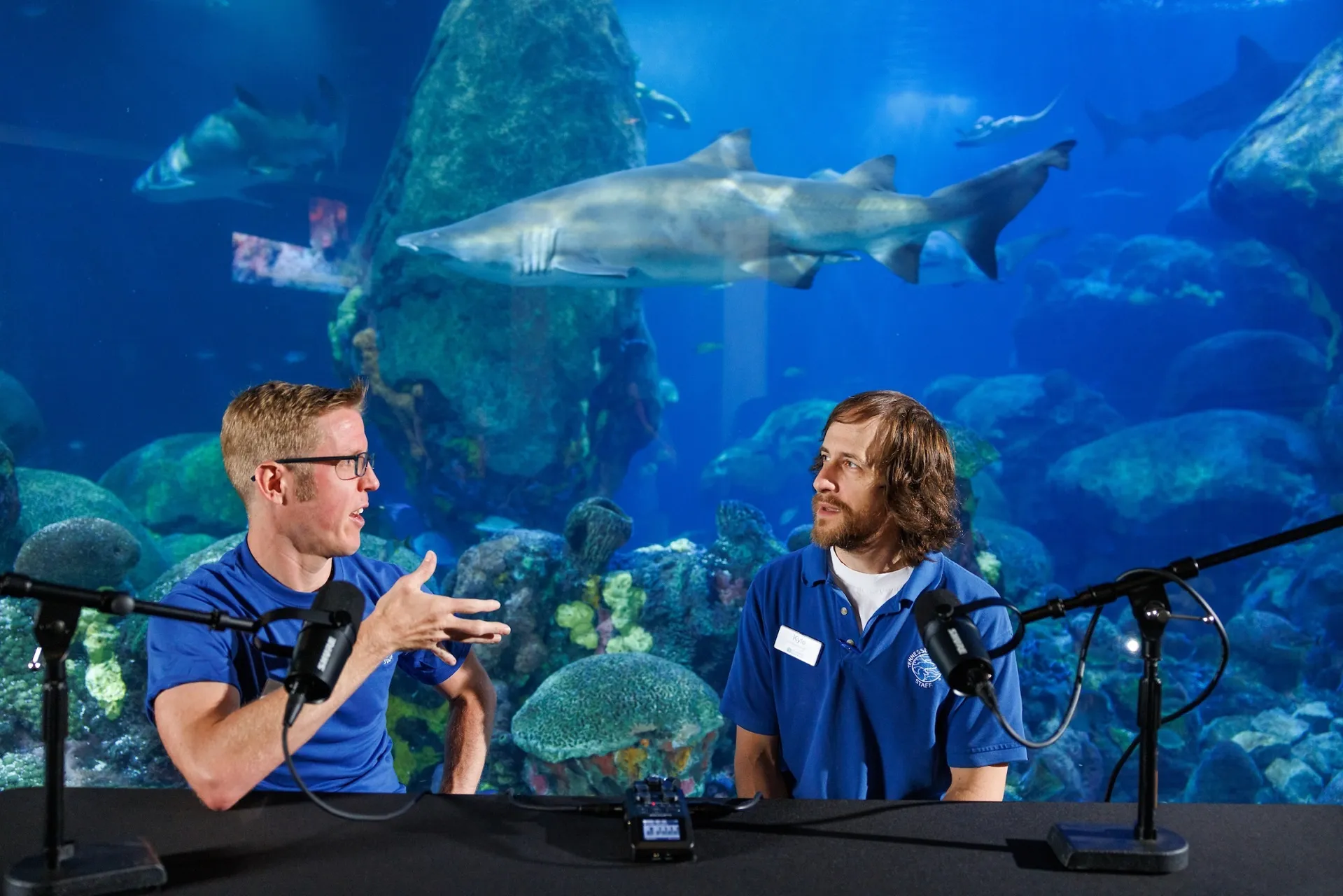 The Anniversary Aquatic On its first birthday, Tennessee Aquarium podcast announces partnership with The Tennessee Conservationist Magazine