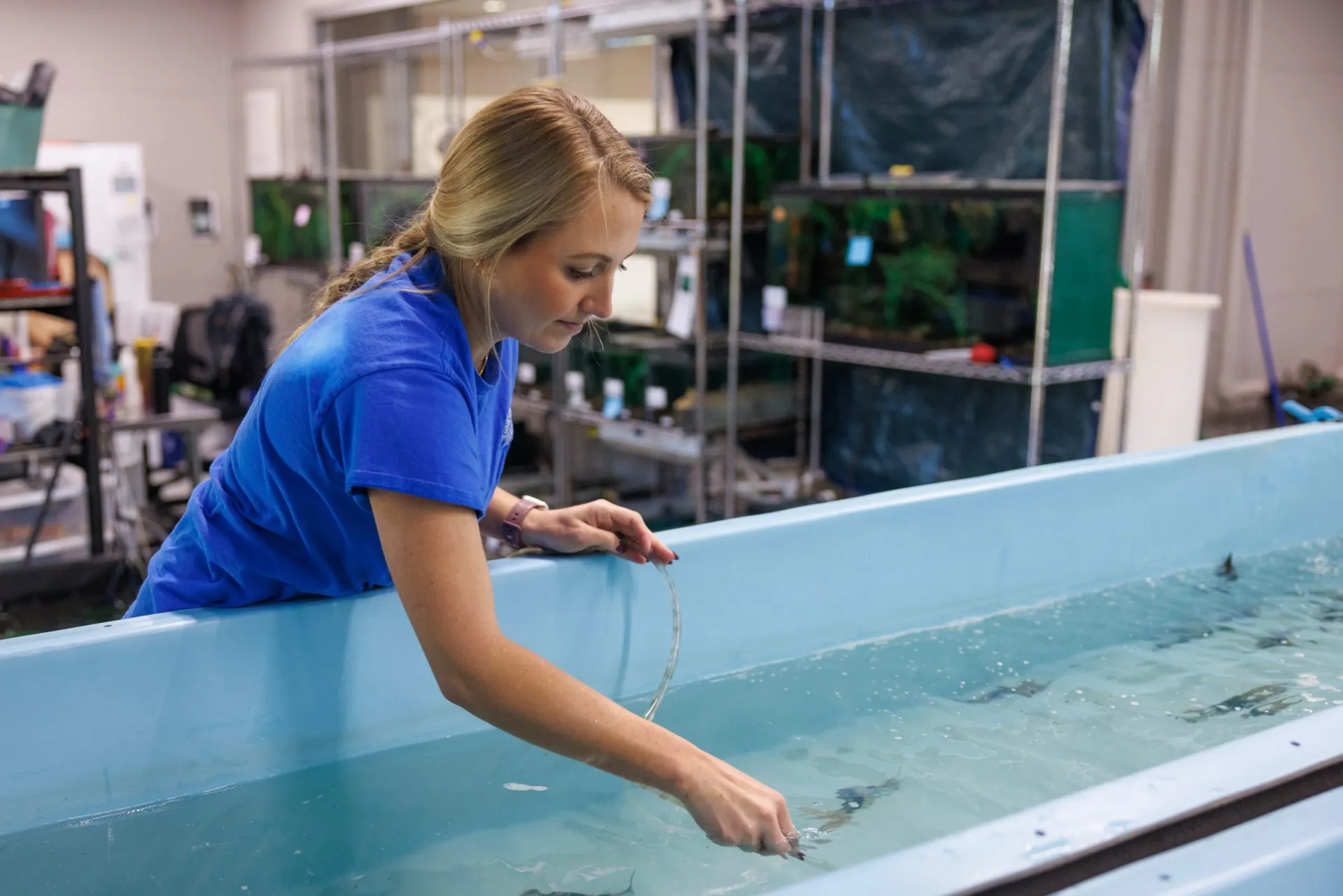 Volunteer feeding fish