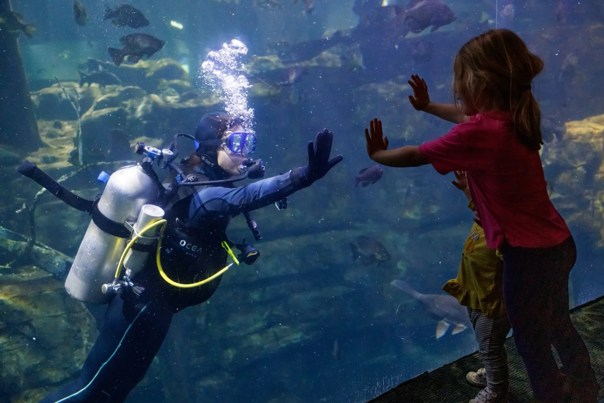 Girl and Diver
